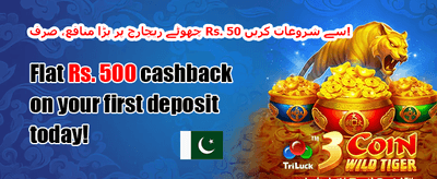 خوش آمدید بونس: 100% میچ promotion banner